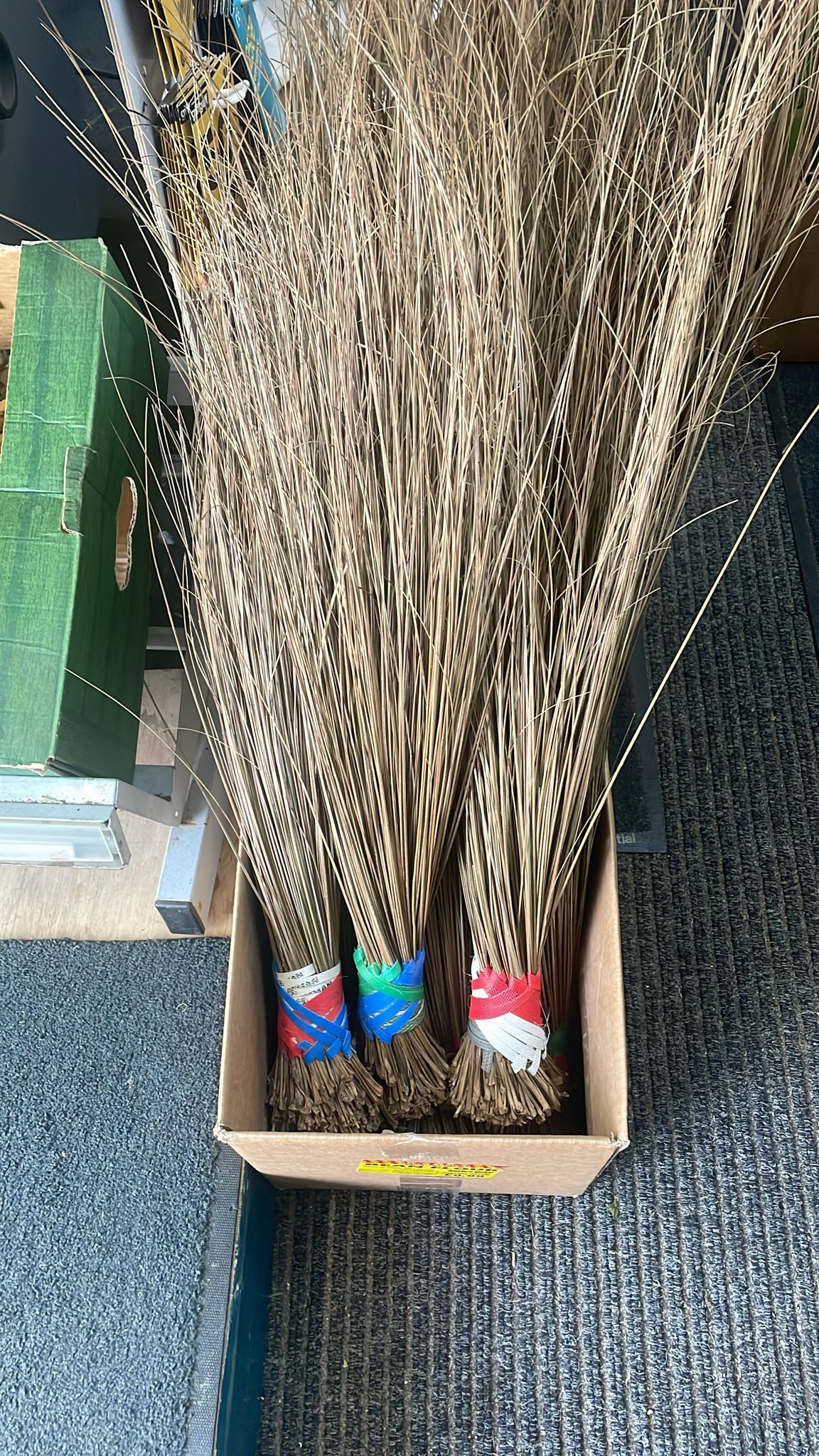 Native Broom